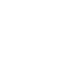 NTT-GIN